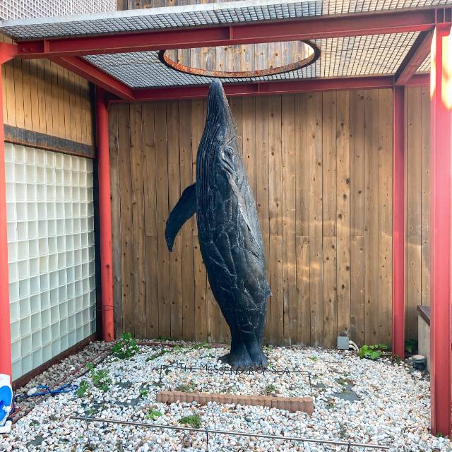 ムール ア・ラ・ムール