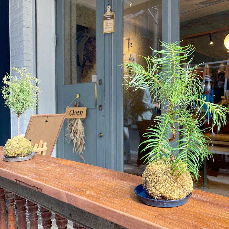 ブーランジェリー たね埜