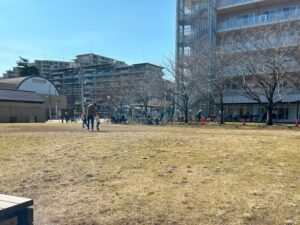 江古田の森公園