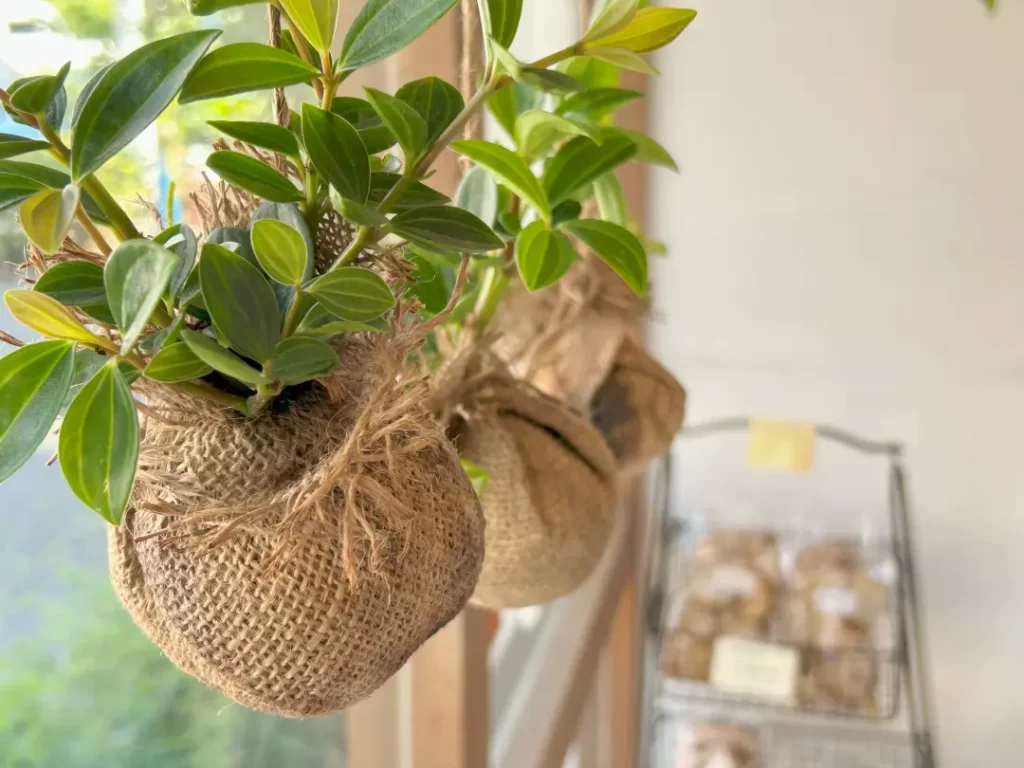 ジャンティーユ(gentille/目黒)