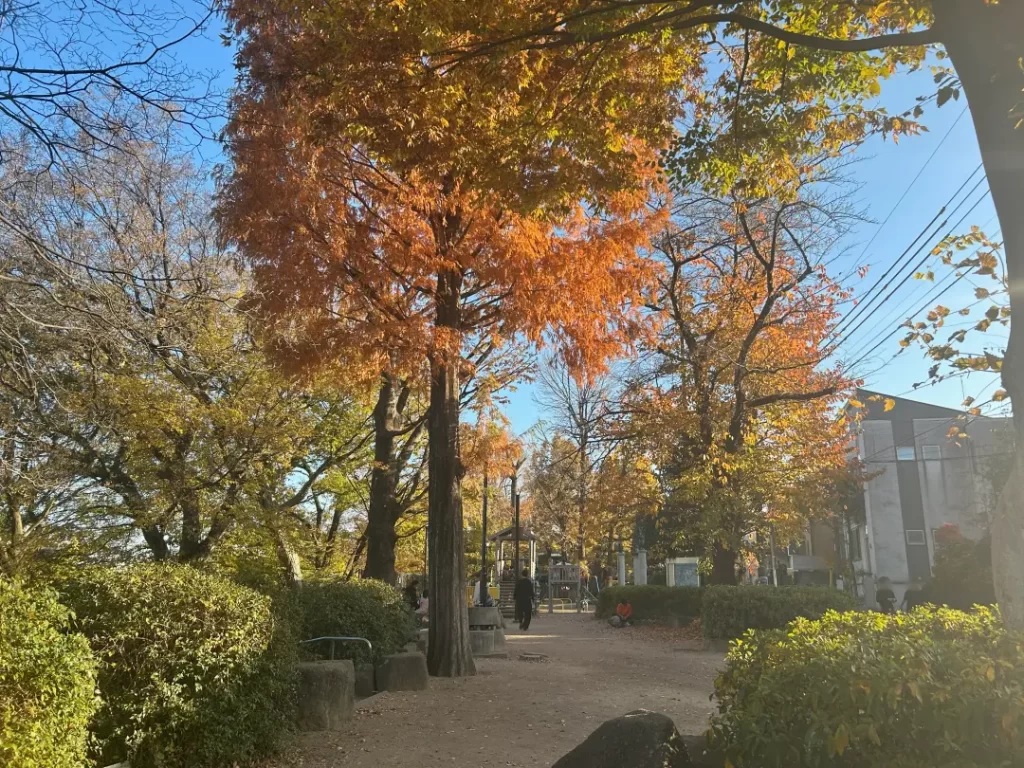 井荻公園（杉並区）