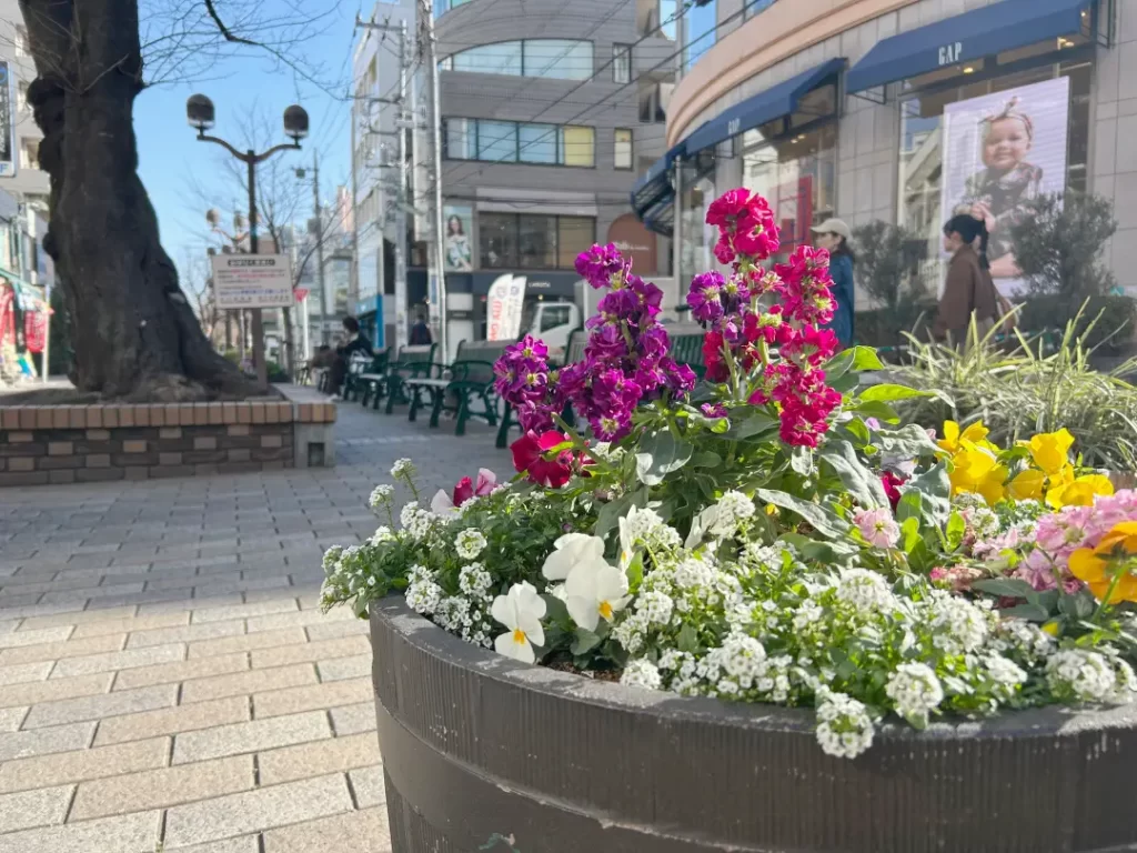 HAL'S BAGEL（自由が丘）