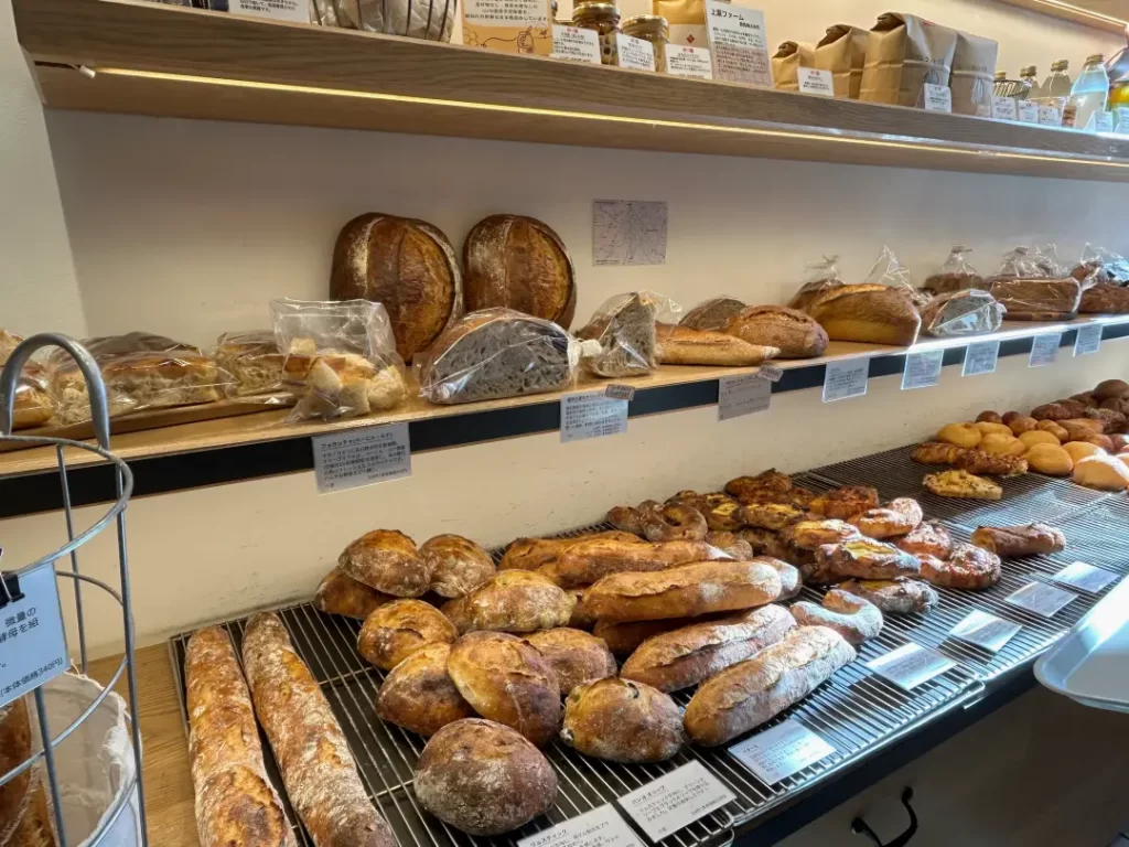 セテュヌ ボンニデー 自由が丘店